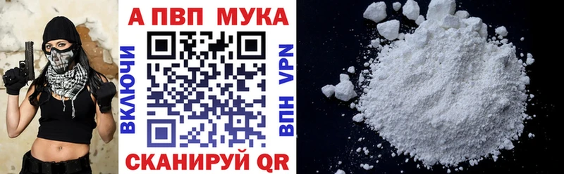 shop как зайти  Ковров  Alpha PVP СК  МЕГА ссылка 