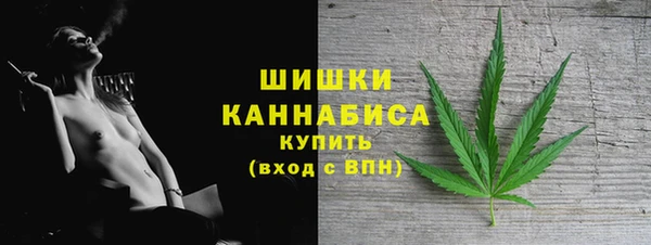ECSTASY Вяземский