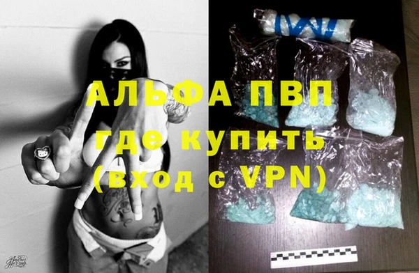 ECSTASY Вяземский