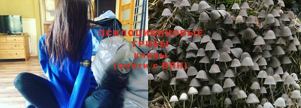 бошки Вязники